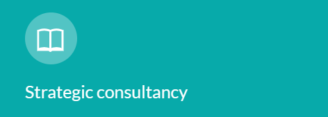 Taliska-Wynn strategic consultancy services